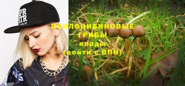 винт Осташков