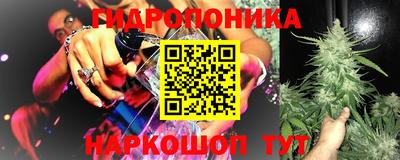 jwh Будённовск