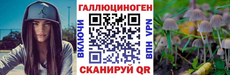 магазин продажи наркотиков  Уварово  Псилоцибиновые грибы GOLDEN TEACHER 