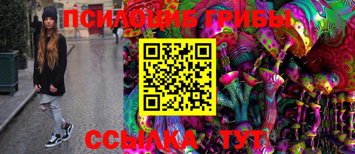 купить закладку  Уварово  Галлюциногенные грибы мицелий  Псилоцибиновые грибы Psilocybe 